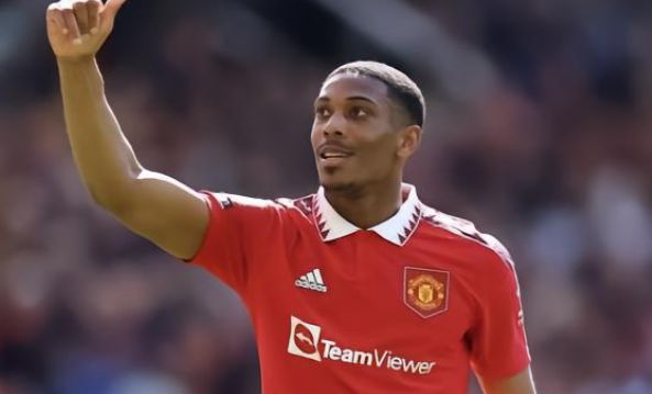 勒沃库森的 勒沃库森的